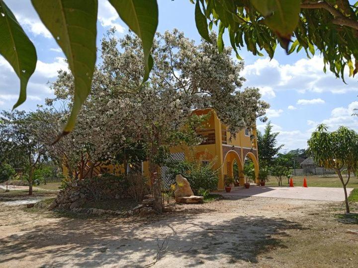 Eco-hotel shalom Valladolid  Exterior foto